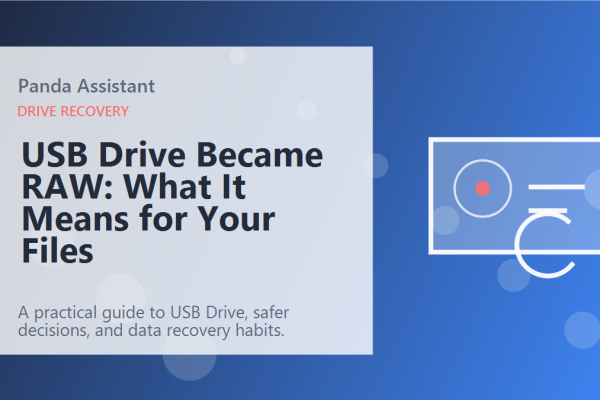 USB Drive Became RAW: What It Means for Your Files featured image