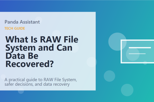 What Is RAW File System and Can Data Be Recovered? featured image