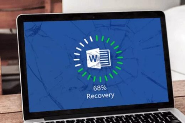 Damaged word file