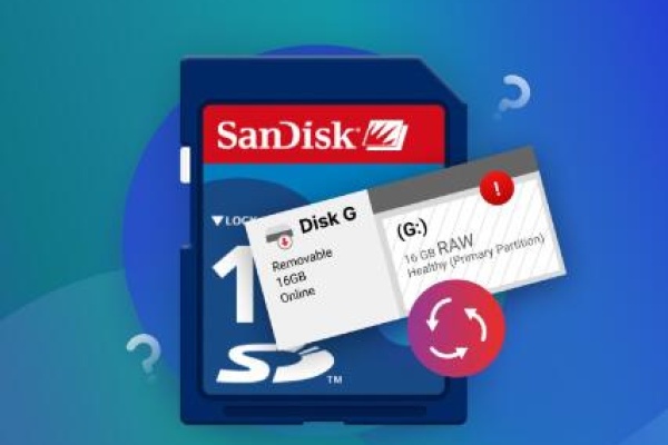 Data recovery software