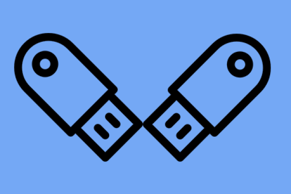 Data recovery software usb stick