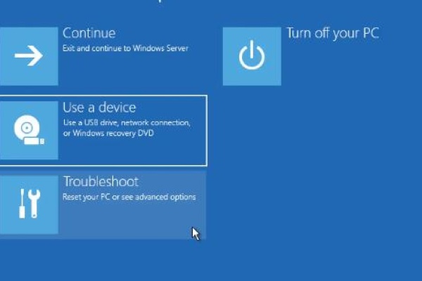 Delete recovery partition server 2022​