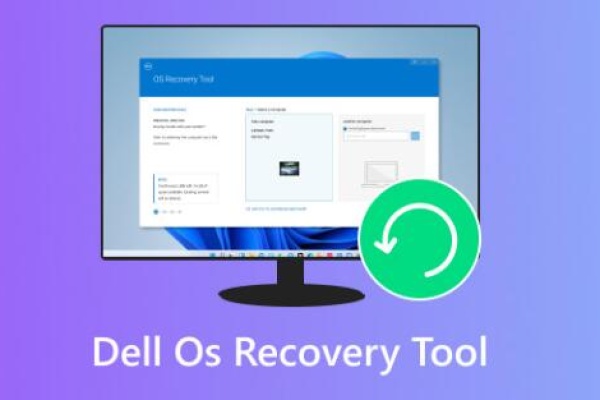 Dell os recovery tool keeps crashing