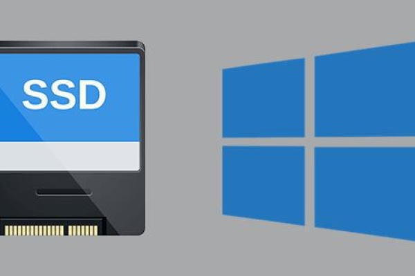 Disk partition not showing