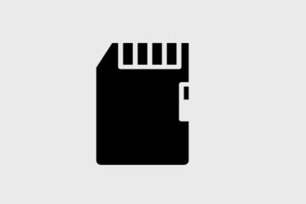sd card delete everything​