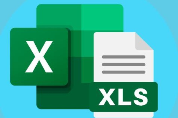 Excel file format