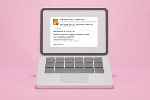 File system verify