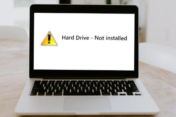 Hard drive not showing