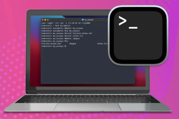 recover my deleted files from my computer