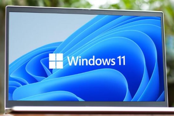find all photos on my computer windows 11