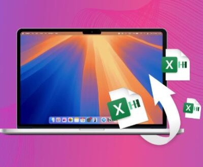 lost excel file​