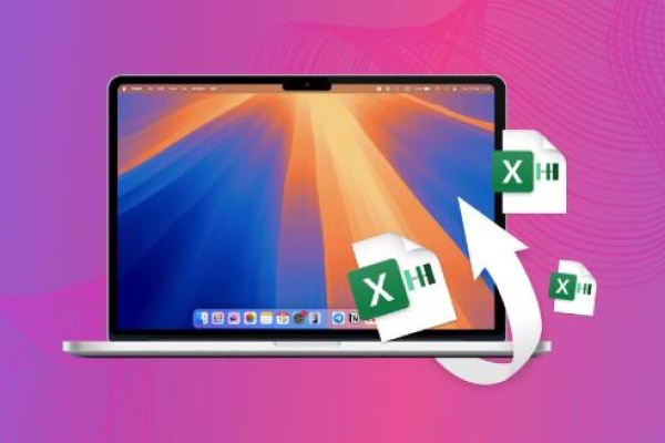 lost excel file​