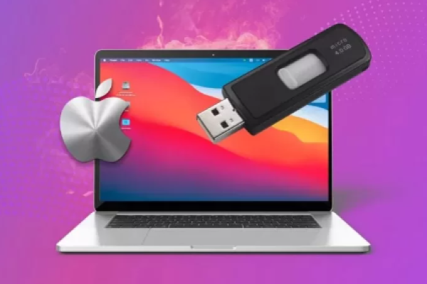 recover deleted files from usb without software