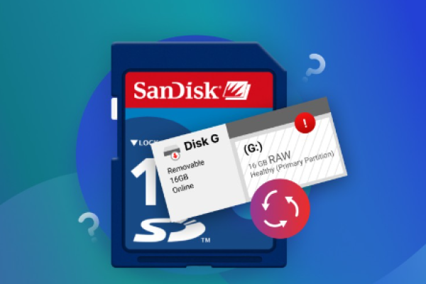 recover deleted files in sd memory card
