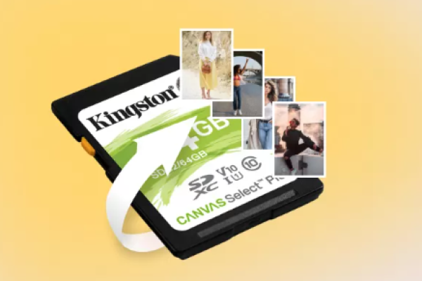 recover deleted photos on sd memory card