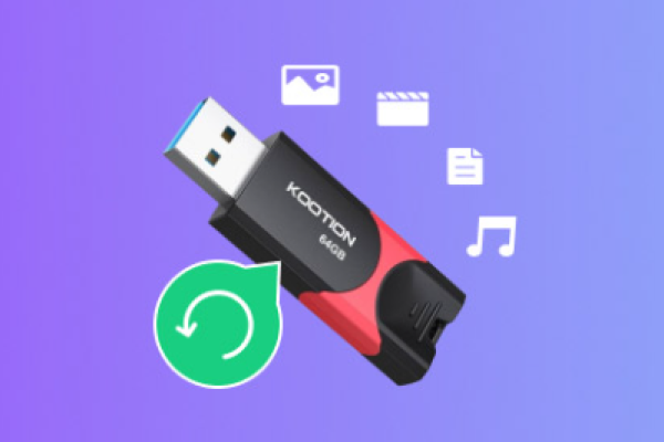 recover information from a flash drive