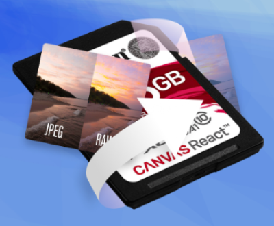 recover lost photos from sd card