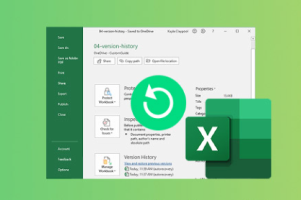 recover previous excel file