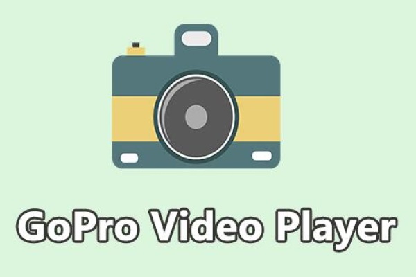 gopro videos on computer