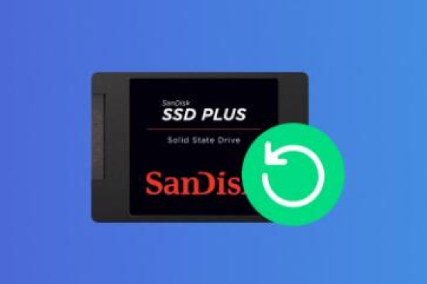 Solid state disk data recovery​