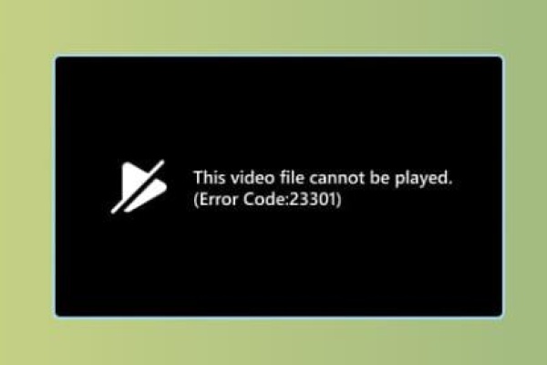 video file cannot be played error code 233011​