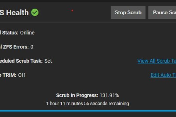 scrub repair disk​