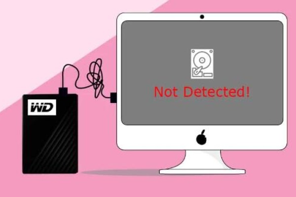 hard drive not showing up​