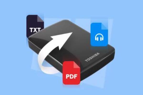 Western digital external hard drive not recognized