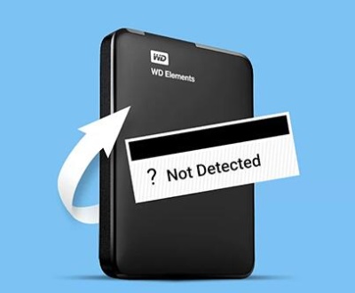 Western digital hard drive not recognized​