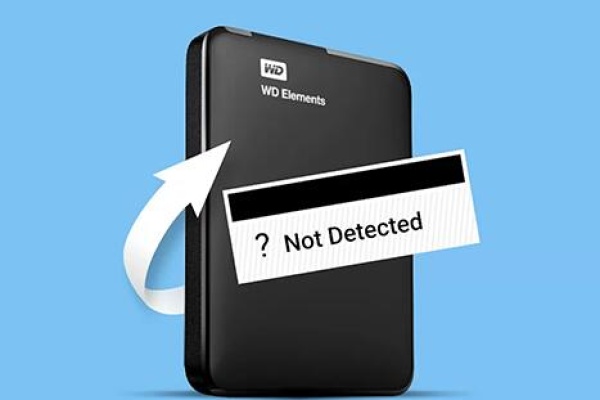 Western digital hard drive not recognized​