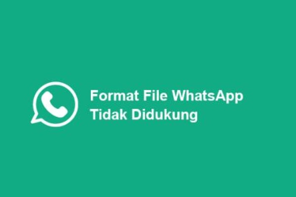 file format is not supported​