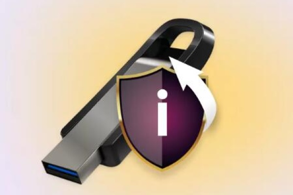 Will formatting a usb drive erase it