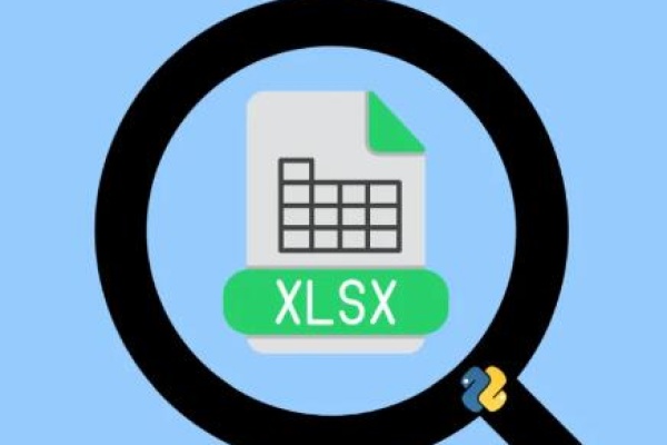 Xlsx file format