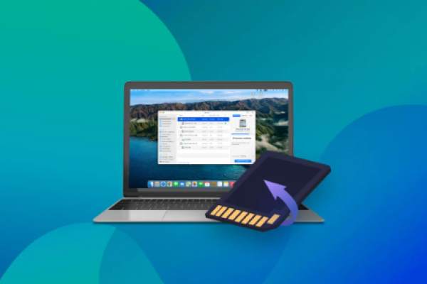 free sd card recovery software mac​