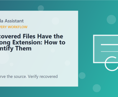 Recovered Files Have the Wrong Extension: How to Identify Them