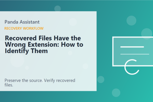 Recovered Files Have the Wrong Extension: How to Identify Them