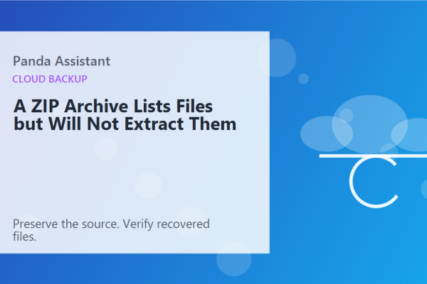 A ZIP Archive Lists Files but Will Not Extract Them
