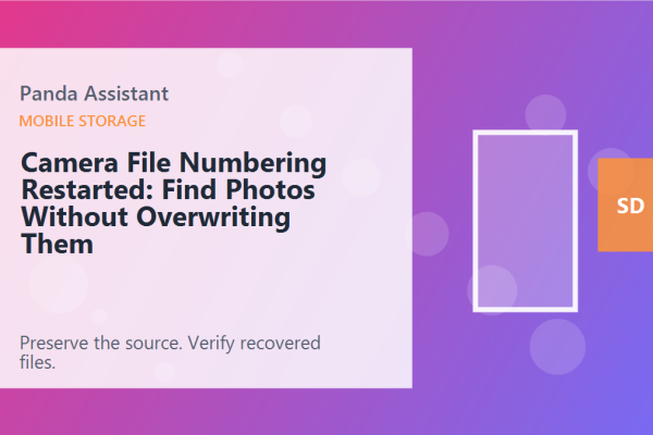 Camera File Numbering Restarted: Find Photos Without Overwriting Them