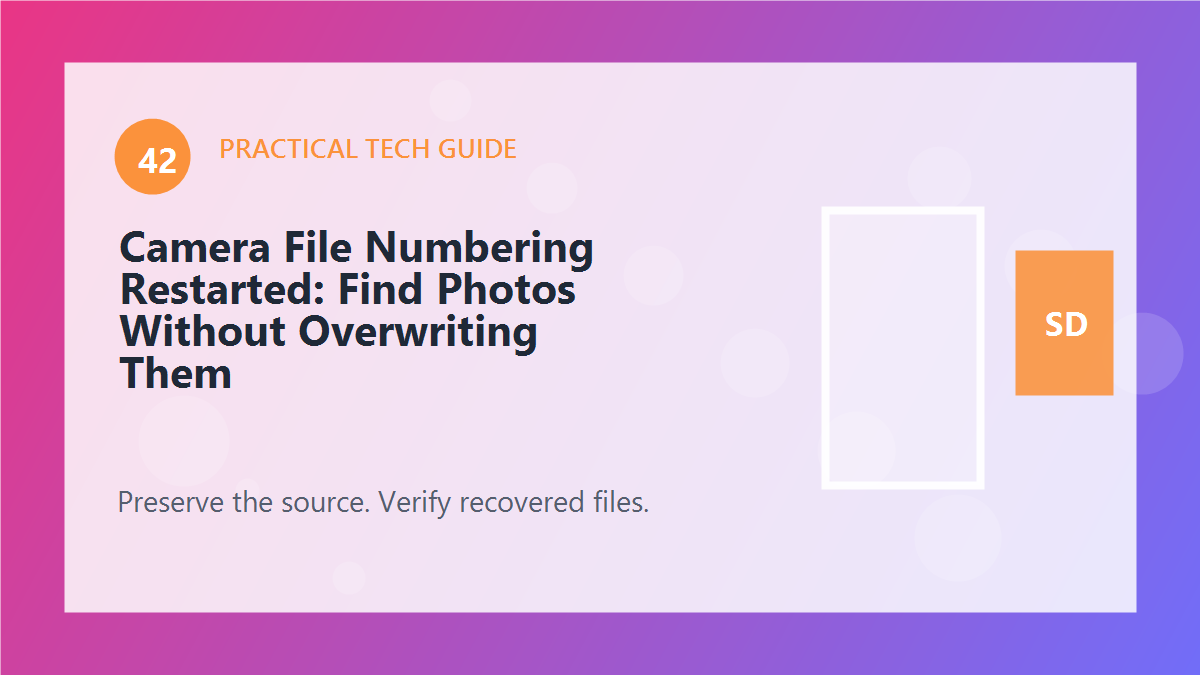 Camera File Numbering Restarted: Find Photos Without Overwriting Them