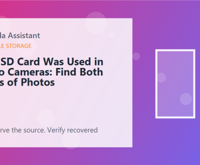 An SD Card Was Used in Two Cameras: Find Both Sets of Photos