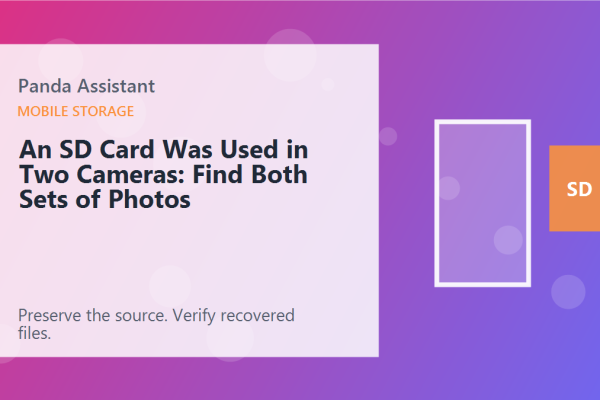 An SD Card Was Used in Two Cameras: Find Both Sets of Photos