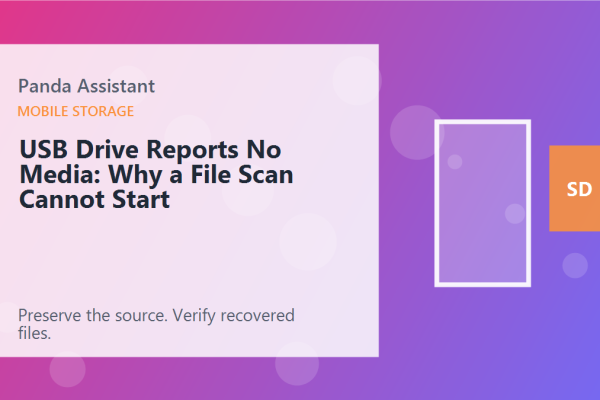 USB Drive Reports No Media: Why a File Scan Cannot Start